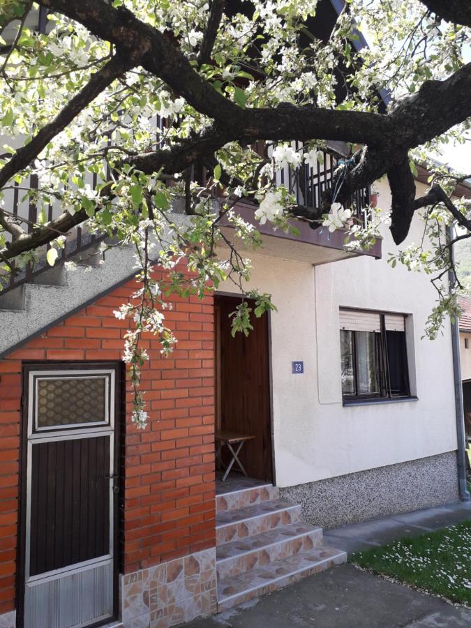 Rakic Apartman บายินา บาชตา ภายนอก รูปภาพ